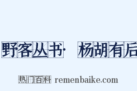 野客丛书·杨胡有后是什么意思的图片